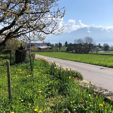 Apartment Chez Maya *